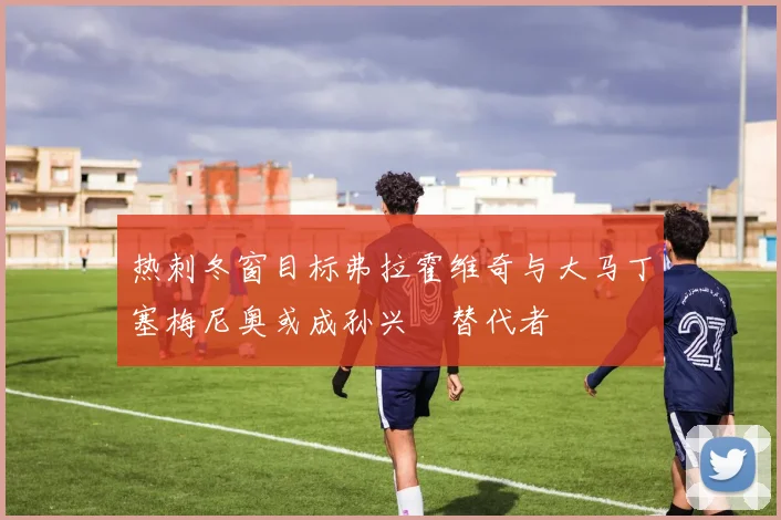 热刺冬窗目标弗拉霍维奇与大马丁塞梅尼奥或成孙兴慜替代者