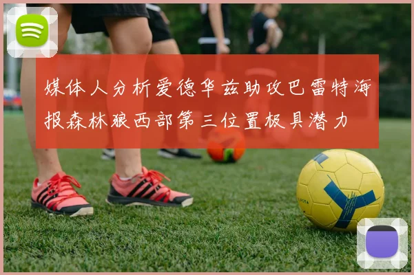 媒体人分析爱德华兹助攻巴雷特海报森林狼西部第三位置极具潜力